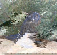 Bathurst Arts Trail - Kawana Tourism