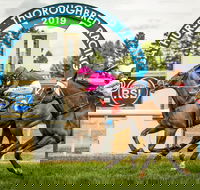 Bathurst Cup - Kawana Tourism