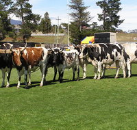 Brighton Show - Kawana Tourism