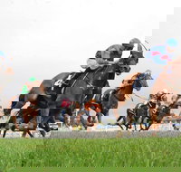 Christmas Cup Race Day - Kawana Tourism