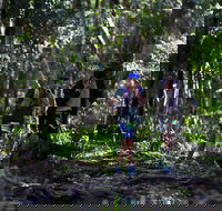 Elephant Trail Race - Kawana Tourism
