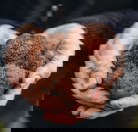 Feast and Forage - Craig's Royal Hotel - Kawana Tourism