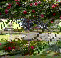 Griffith Spring Fest - Kawana Tourism