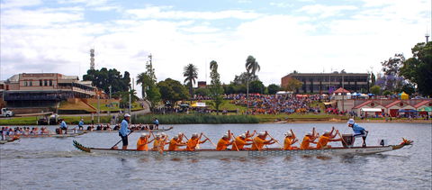 Jacaranda Dragon Boat Races - Kawana Tourism 0