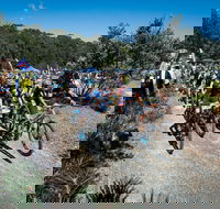 JetBlack Wild Wombat MTB Challenge