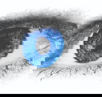 Joe Orton's What the Butler Saw - Kawana Tourism