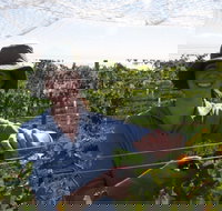 Kingsdale Wines - Cellar Door Wine Tastings - Kawana Tourism