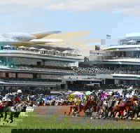 Melbourne Cup Carnival - Kawana Tourism