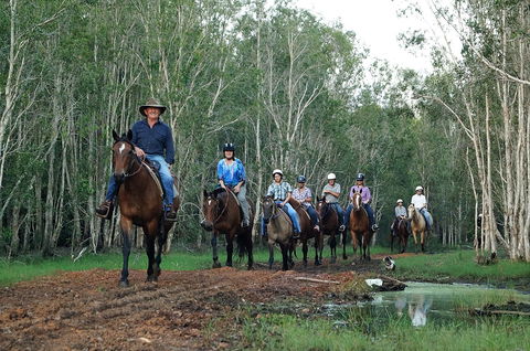 Night Horse Ride And Dinner - Kawana Tourism 0
