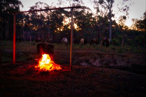 Night Horse Ride And Dinner - Kawana Tourism 2