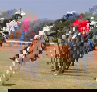 Pride of the West Races 2020 - Kawana Tourism