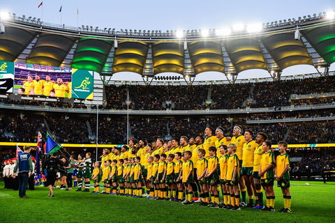 Rugby Championship: Qantas Wallabies V Springboks - Kawana Tourism 0
