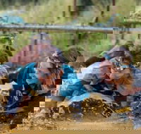 Suck It Up Buttercup Vikings Obstacle Course