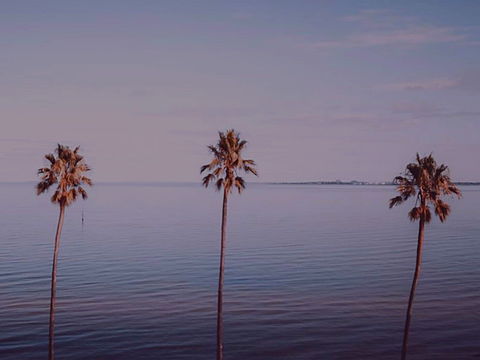 Sunset Streaming Live DJ Streams - Kawana Tourism 0