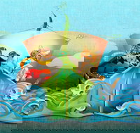 The Owl and The Pussycat - Kawana Tourism