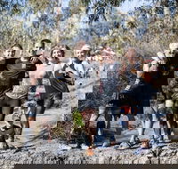 True Grit - Kawana Tourism