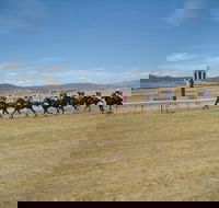 Adaminaby Cup Race Day - Kawana Tourism