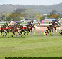 Aggies Race Day - Kawana Tourism