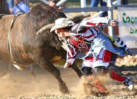 AgriWest Cooma Rodeo - Kawana Tourism 2