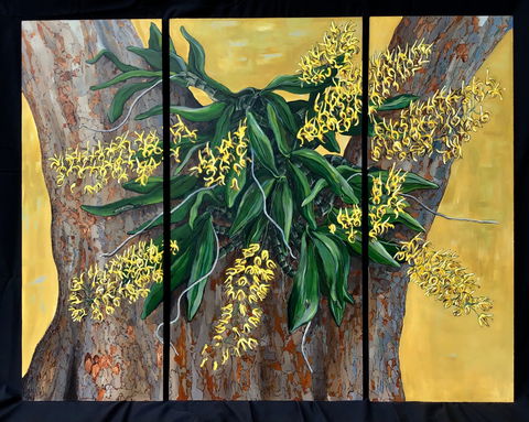 A Still Life - Solo Exhibition  Karen Sedaitis - Kawana Tourism 1