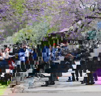 Celtic Festival of Queensland