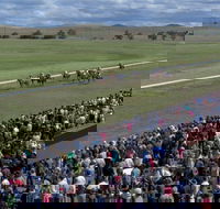 Cooma Sundowners Cup - Kawana Tourism