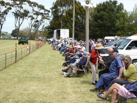 Dean Sheepdog Trials - Old Sniff Classic - Kawana Tourism 1
