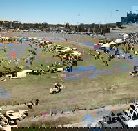 Dogs In the Park Swansea - Kawana Tourism