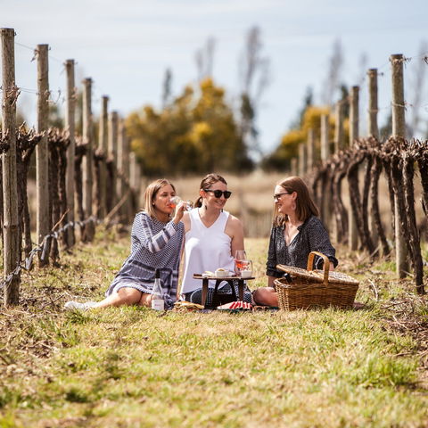Family Picnic Weekend - Kawana Tourism 0