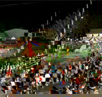 Forest Hill Christmas Festival - Kawana Tourism