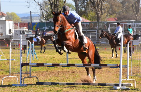 Glen Innes Pastoral And Agricultural Show - Kawana Tourism 0