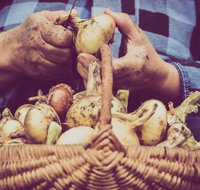 Grafton Farmers Market - Kawana Tourism
