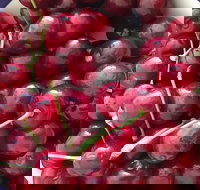 Griffith Rotary Market - Kawana Tourism