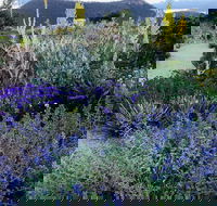 Highfield Gardens - Kawana Tourism