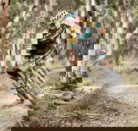 Jetblack 24 Hour - Kawana Tourism