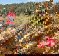 Mini Muddies Obstacle Challenge at Bunnamagoo Estate