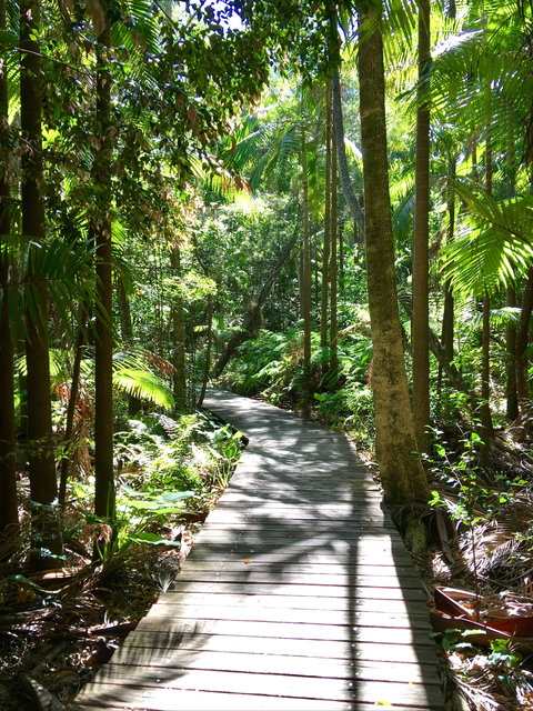 Mindfulness Escapes Byron Bay - Kawana Tourism 1