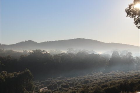 Mudgeeque - Kawana Tourism 0