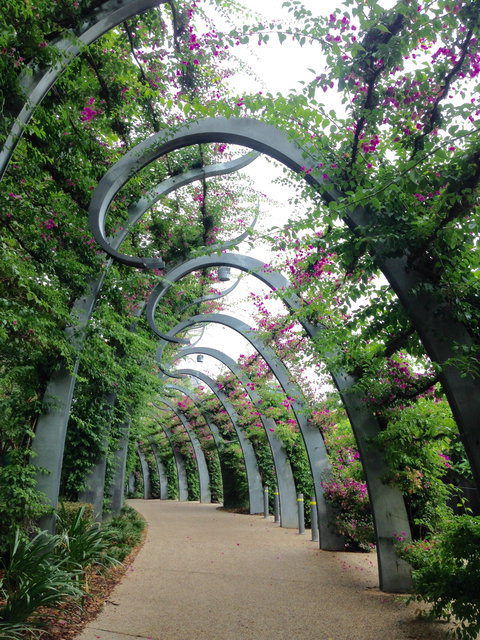 Photography Class / Tour Of Brisbane - Kawana Tourism 0