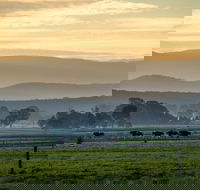 Rotary Club of Maffra Community Market - Kawana Tourism