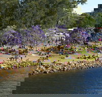 Shoalhaven River Festival - Kawana Tourism