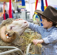 Sydney Royal Easter Show - Kawana Tourism