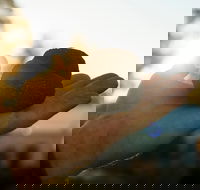 The Truffle Festival - Canberra Region - Kawana Tourism