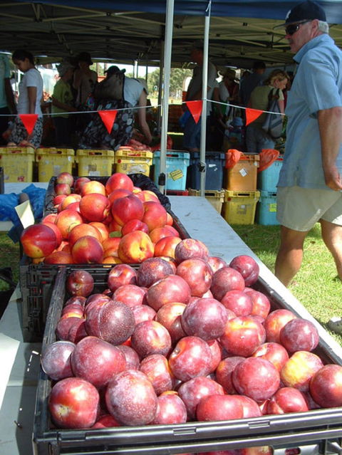 The Farmers Market On Manning - Kawana Tourism 0
