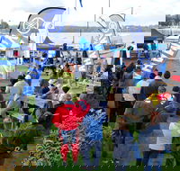 Twin Rivers Bream Classic - Kawana Tourism