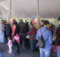 Wildflower Art and Garden Festival - Kawana Tourism