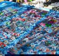 Wyee Markets - Kawana Tourism