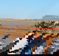 2020 Quorn Cup - Kawana Tourism