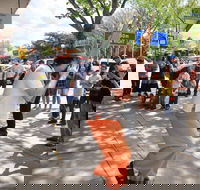 Australian National Busking Championships - Kawana Tourism