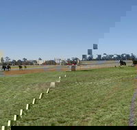 Balranald Races -Derby Day - Kawana Tourism
